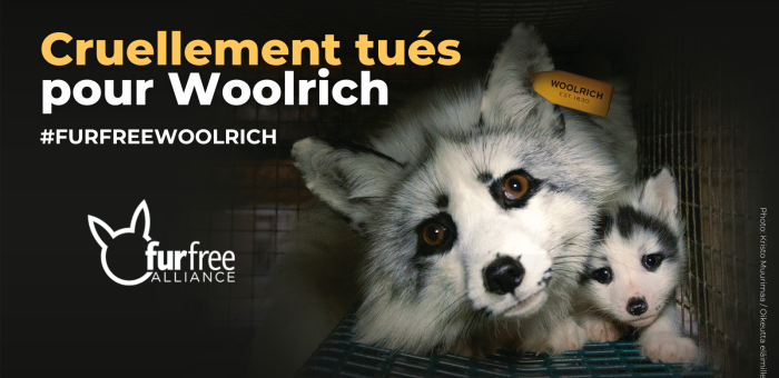 toujours cruellement tués pour Woolrich