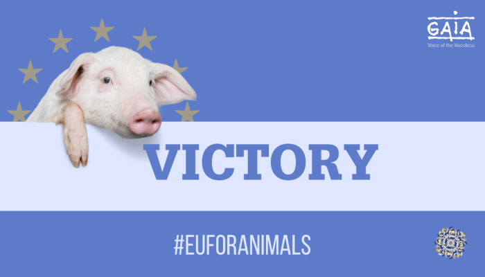 EUFORANIMALS