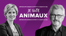 Je Vote Animaux