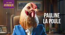 Pauline la Poule