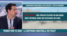 video thumbnail Playing in picture-in-picture Like  Add to Watch Later  Add to collections  Share   Play 00:00 47:53   CC/Subtitles  Transcript  Settings  AirPlay  Picture-in-Picture  Fullscreen LN24 - On saura tout - Bien-être animal : un enjeu électoral (29/05/2024)