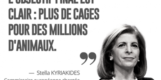 Stella Kyriakides quote