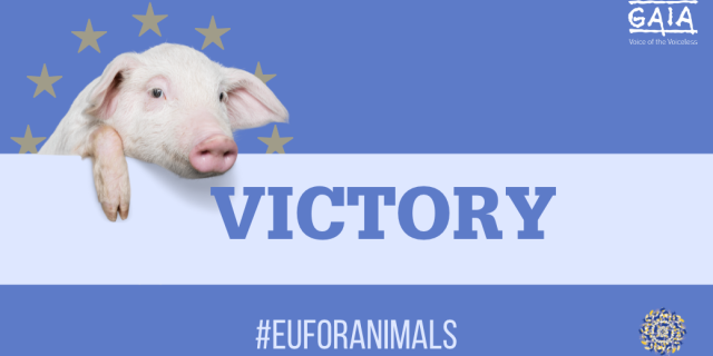 EUFORANIMALS