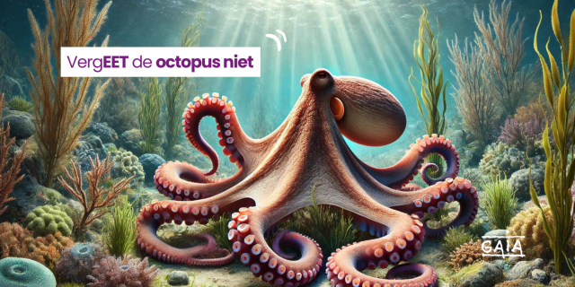 220.000 octopussen gevangen in België